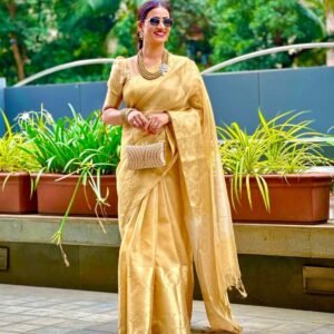 Aarna Banasari Tissue Golden Saree glamour dinner