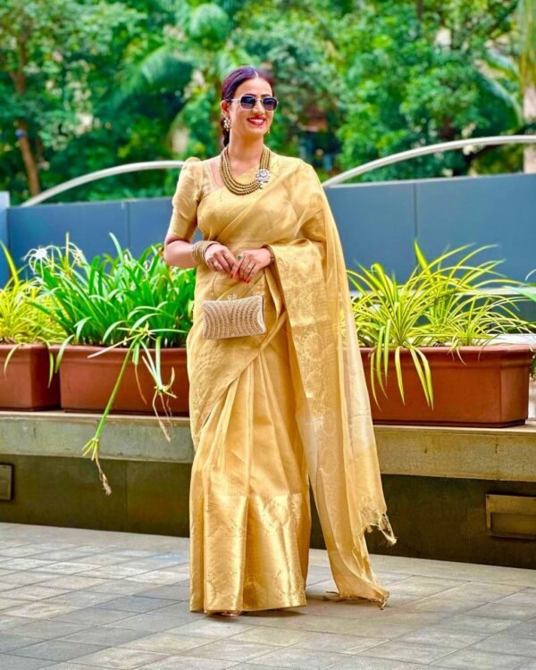Aarna Banasari Tissue Golden Saree glamour dinner
