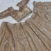 Elegant Kasturi Silk Lehenga bridal glamour gold Set