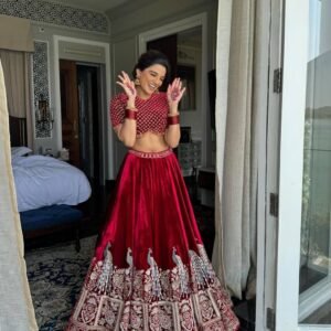 Velvet Maroon Lehenga Choli embroidery Georgette