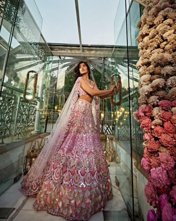 Pink mirror Multicolour Whiscos Embroidery dinner lehenga