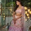 Pink mirror Multicolour Whiscos Embroidery dinner lehenga