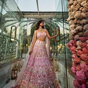 Pink mirror Multicolour Whiscos Embroidery dinner lehenga