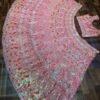 Pink mirror Multicolour Whiscos Embroidery dinner lehenga