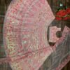 Pink mirror Multicolour Whiscos Embroidery dinner lehenga