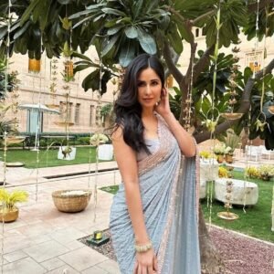 Soft blue sequence Saree elegant evening shiny wear