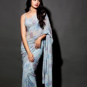 Soft blue and mint Saree elegant dinner shiny wear