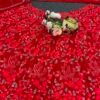 Red Sequence Shiny Vibrant Dinner lehenga