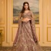 Pink Partywear Georgette Lehenga with Full Flair