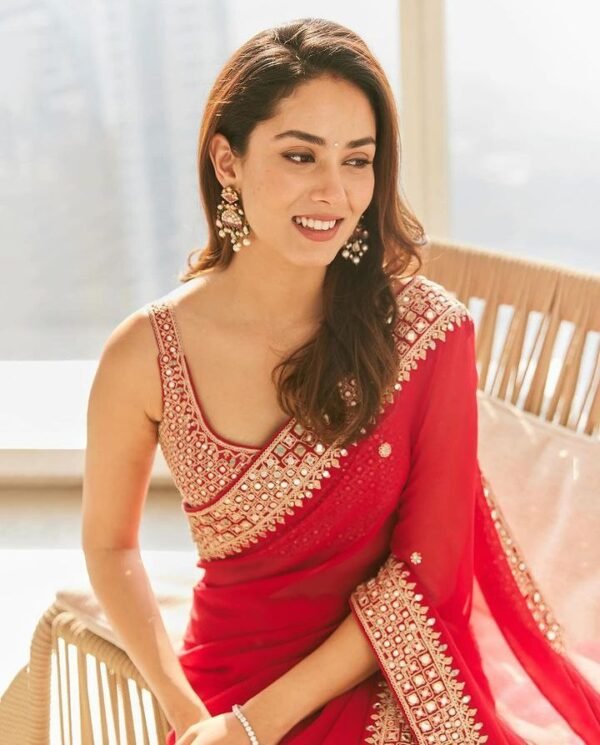 Red mirror fancy dori silk sequence dinner saree