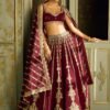 Red Kasturi silk elegant bridal set lehenga with traditional