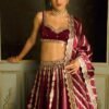 Red Kasturi silk elegant bridal set lehenga with traditional