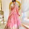 Pink Fox Georgette Sequence casual simple lehenga
